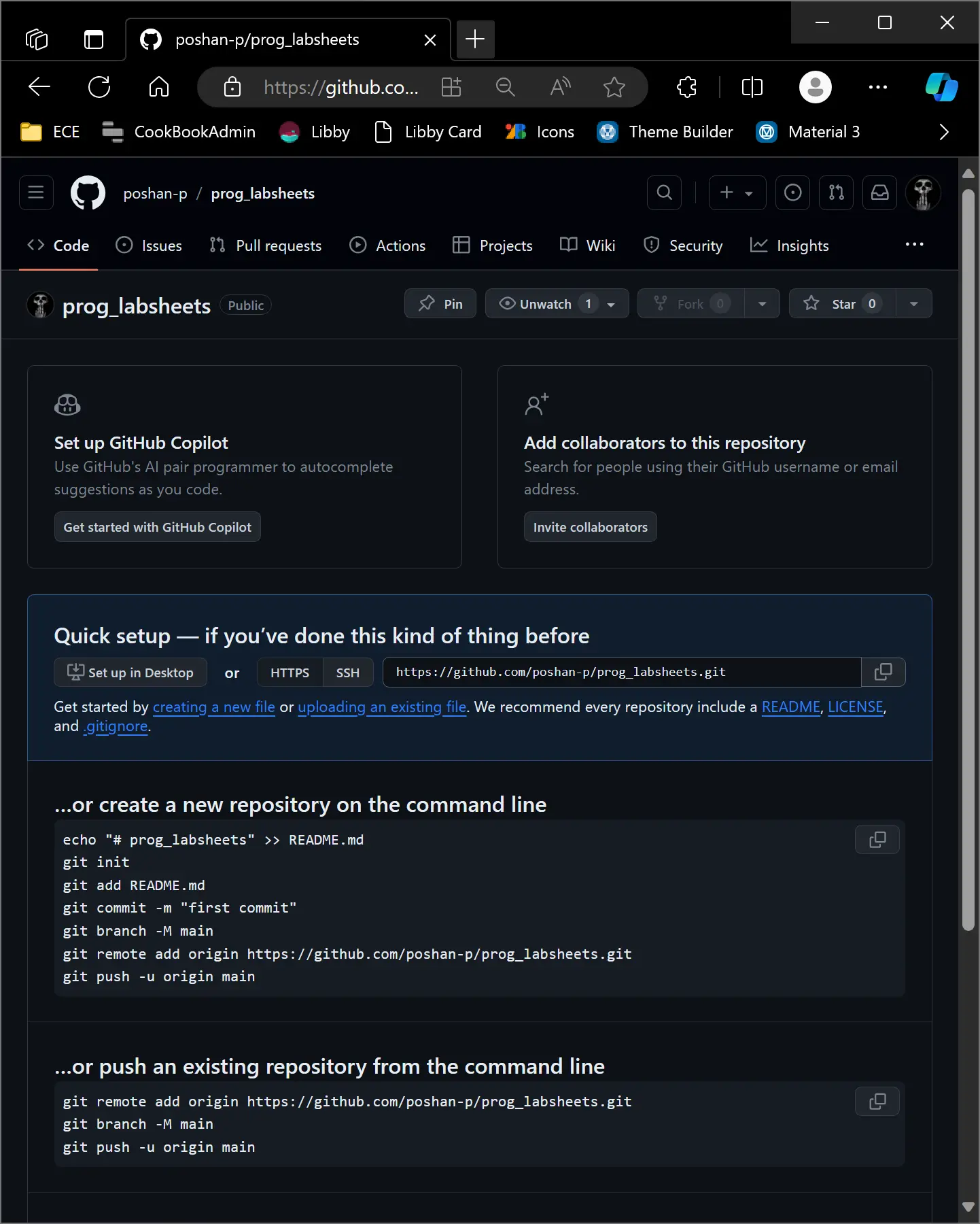 Detailed instructions on initializing the local repository